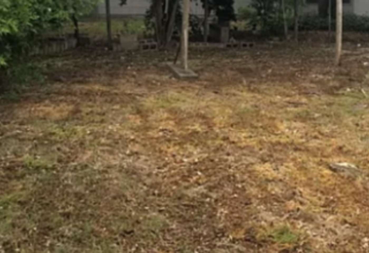 Zi Properties THE solution to your home selling problems